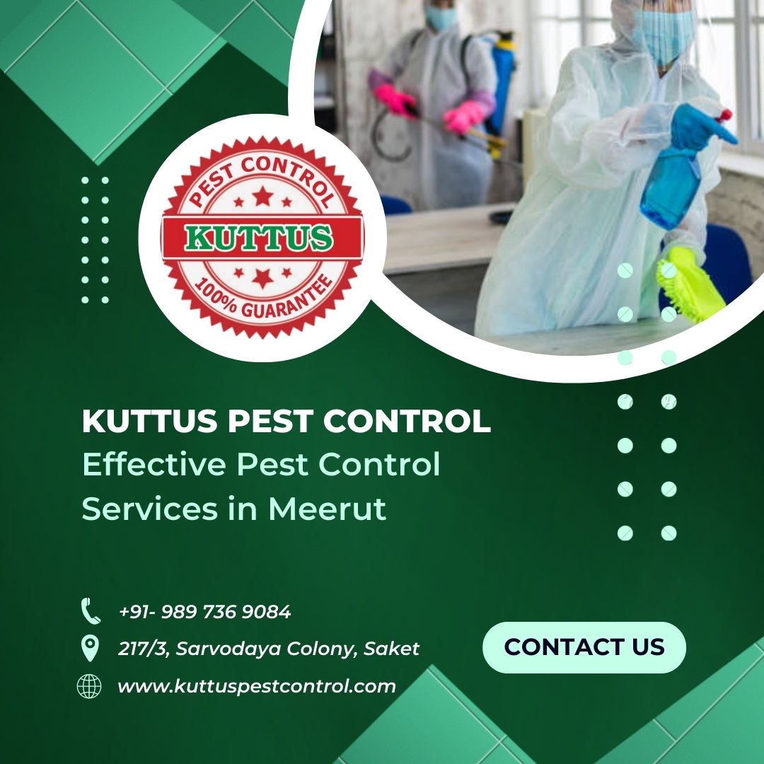  Effective Pest Management in Shastri Nagar Meerut